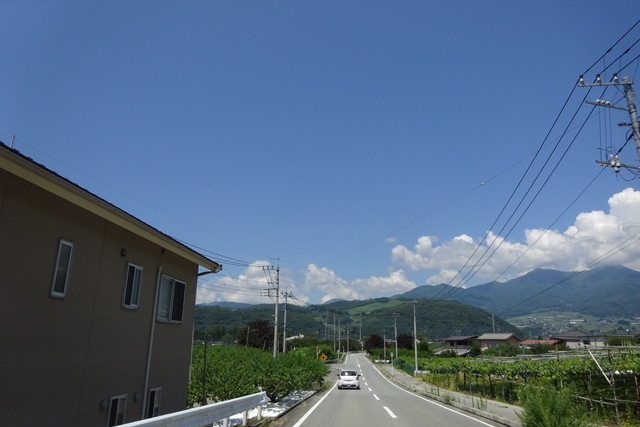 DSC04513.jpg