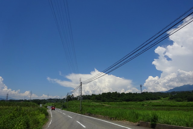 DSC04520.jpg