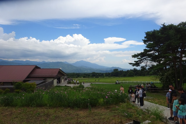 DSC04535.jpg