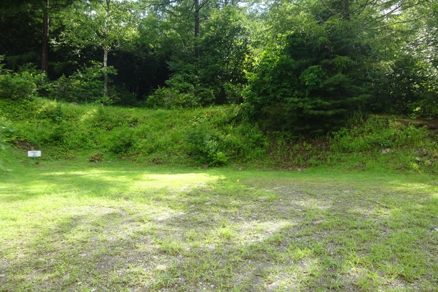 DSC04553.jpg