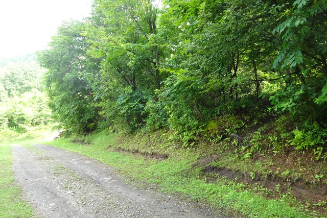 DSC04558.jpg
