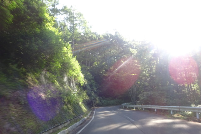 DSC04571.jpg