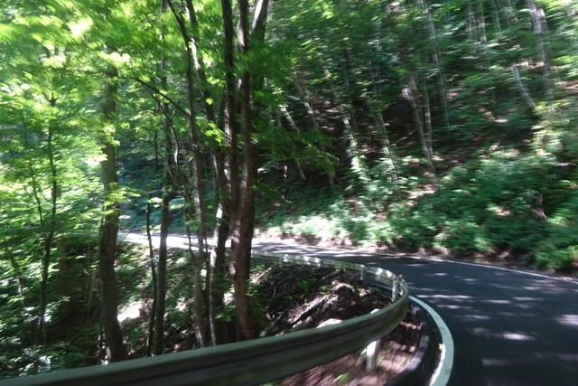 DSC04576.jpg