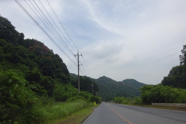 DSC04596.jpg