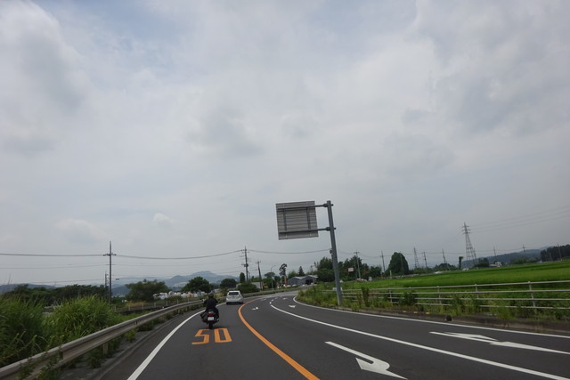 DSC04597.jpg