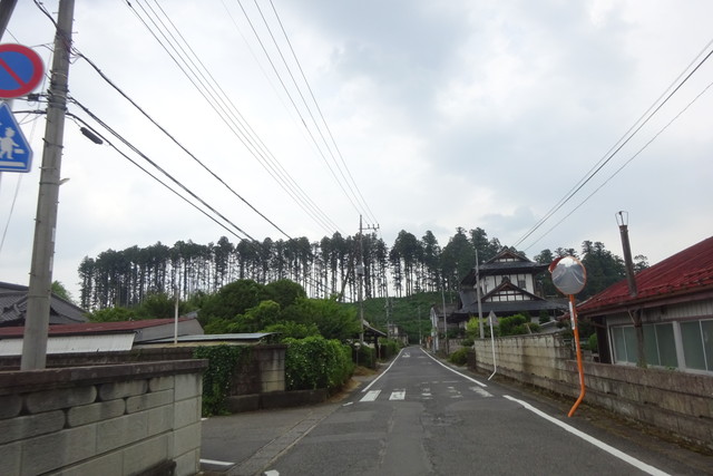 DSC04600.jpg