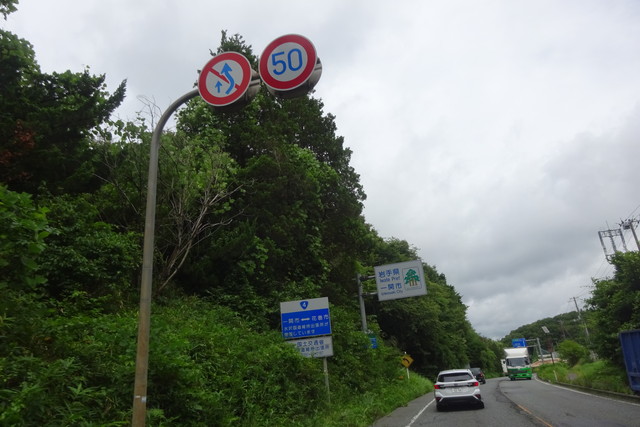 DSC04642.jpg