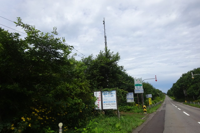 DSC04704.jpg
