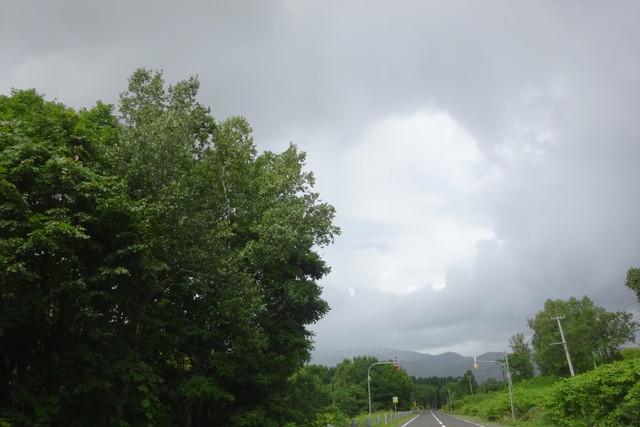 DSC04721.jpg