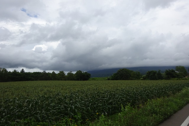 DSC04732.jpg