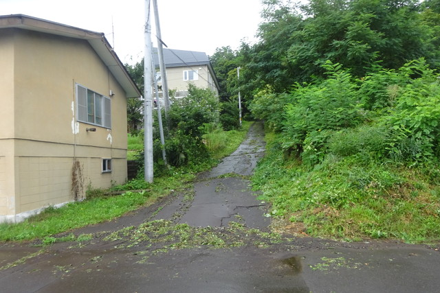 DSC04742.jpg