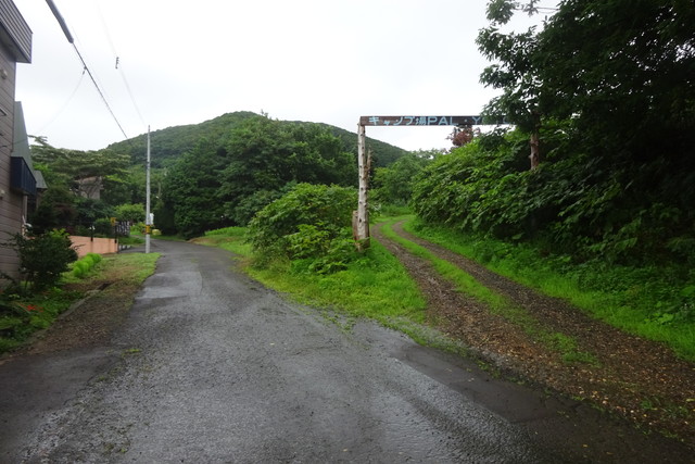 DSC04743.jpg