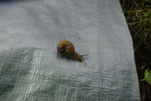 DSC04744.jpg