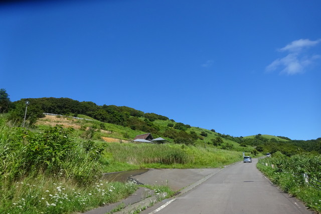 DSC04805.jpg