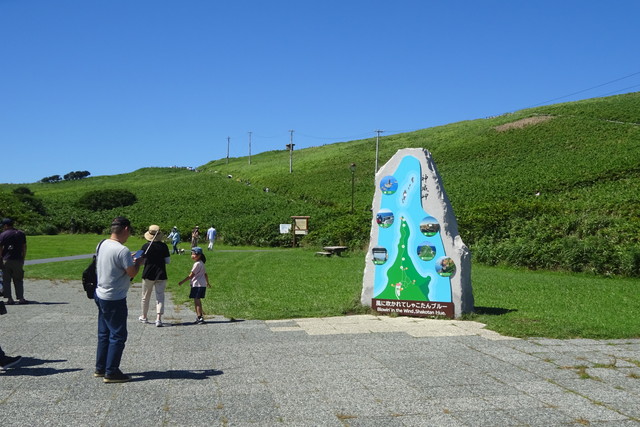 DSC04835.jpg