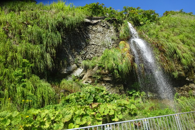DSC04882.jpg