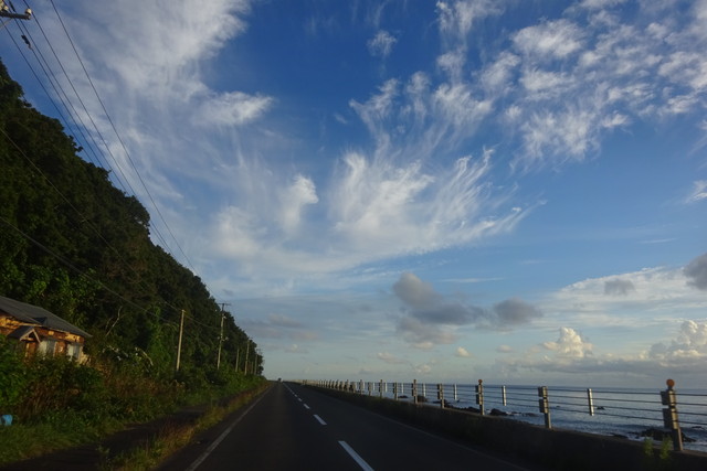 DSC04932.jpg