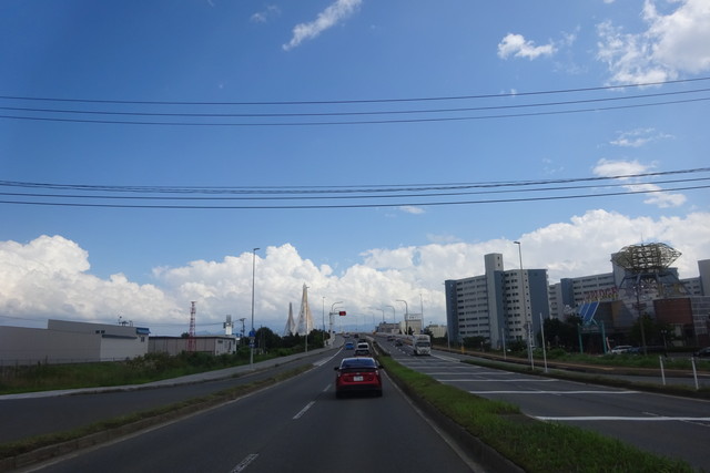 DSC04984.jpg