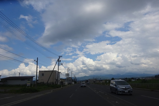 DSC04987.jpg