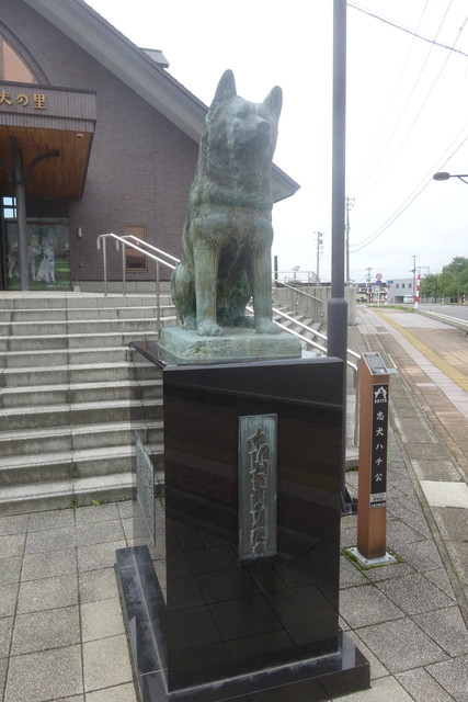 DSC05002.jpg
