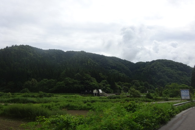 DSC05018.jpg
