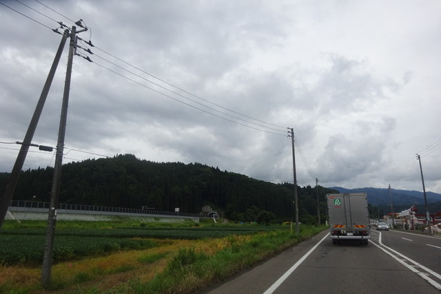 DSC05027.jpg