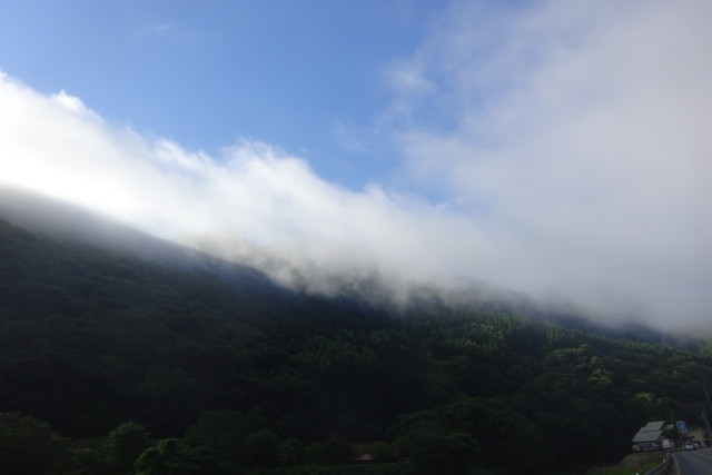 DSC05049.jpg
