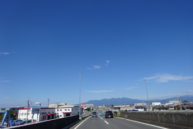 DSC04216.jpg