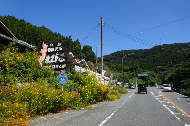 DSC04221.jpg