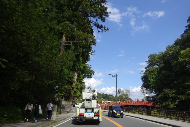 DSC04231.jpg