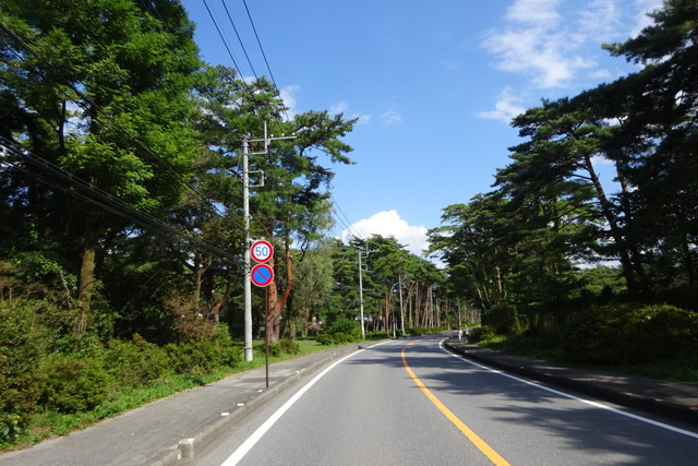 DSC04232.jpg