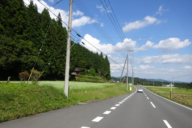 DSC04236.jpg