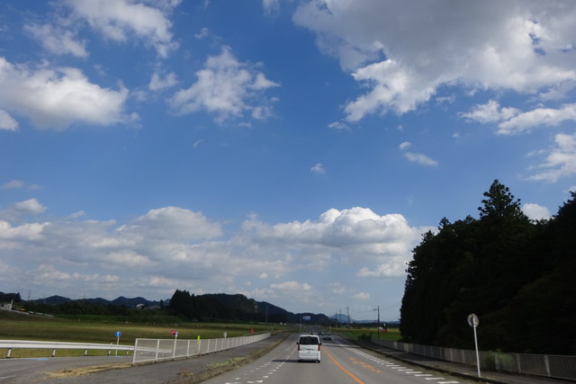 DSC04239.jpg