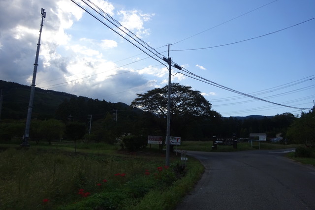 DSC04248.jpg