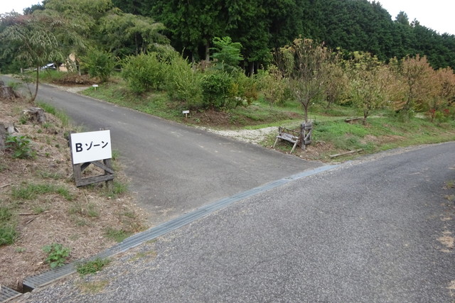 DSC04253.jpg