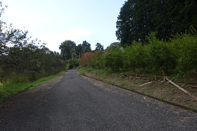 DSC04257.jpg