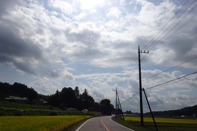 DSC04268.jpg