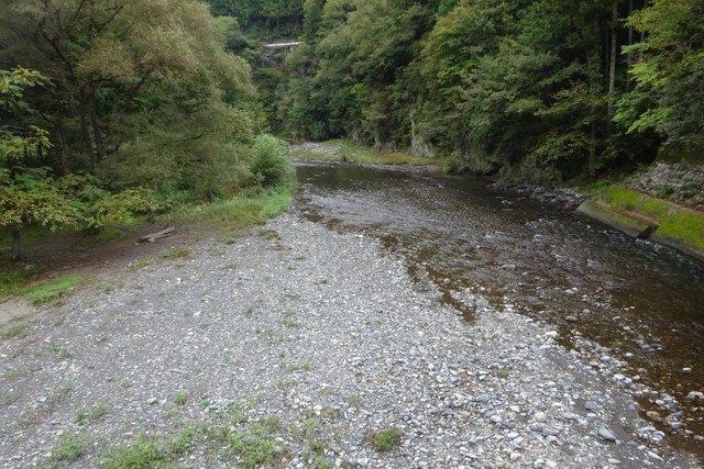 DSC04292.jpg