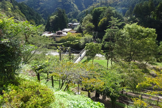 DSC04299.jpg