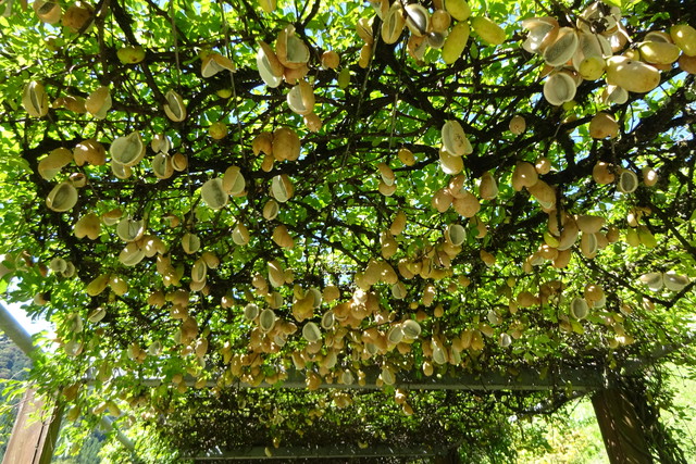 DSC04307.jpg