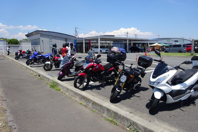 DSC00965.jpg