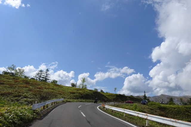 DSC01013.jpg