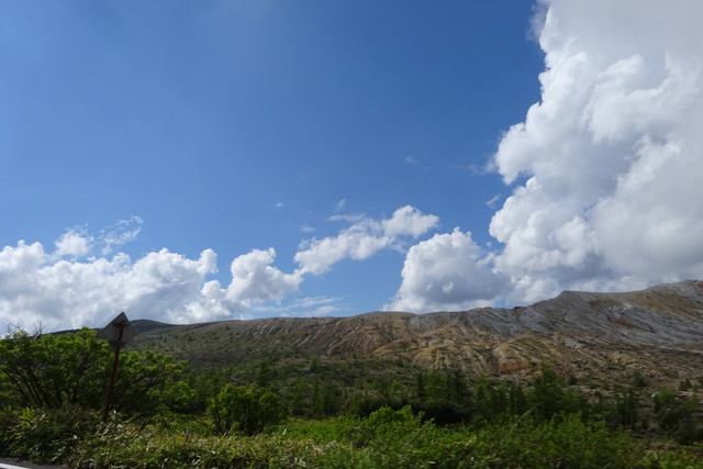 DSC01015.jpg