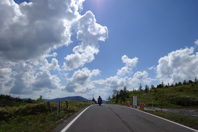 DSC01017.jpg