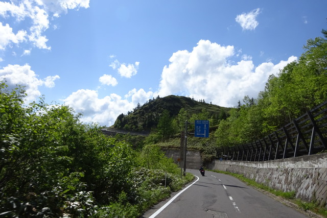DSC01019.jpg