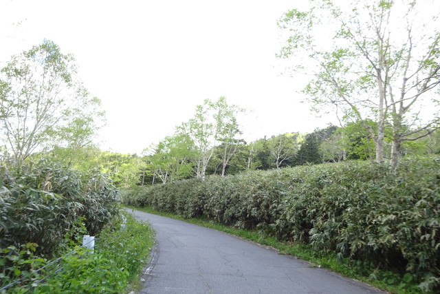 DSC01022.jpg