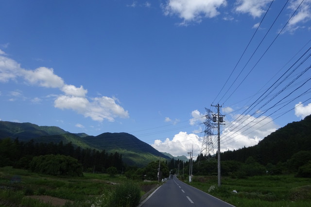 DSC01027.jpg