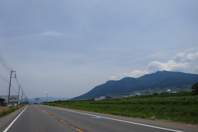 DSC01039.jpg