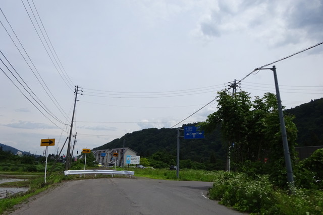 DSC01073.jpg