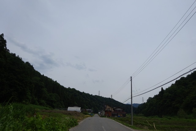 DSC01079.jpg